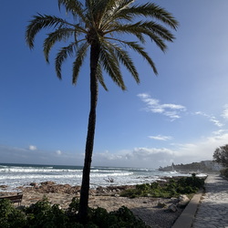 Denia und Umgebung 2024/2025